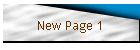 New Page 1